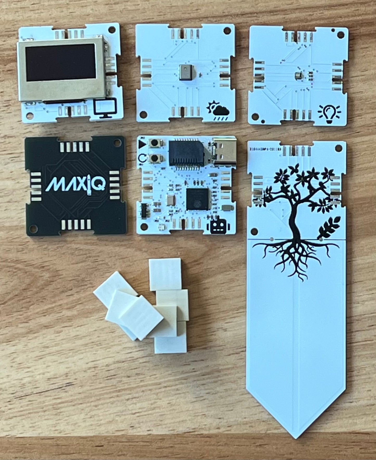 MK01P - Plant the Moon STEM Kit