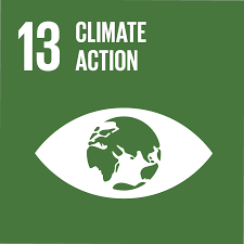 Challenge Participation - SDG 13 Climate Action