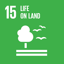 Challenge Participation - SDG 15 Life on Land